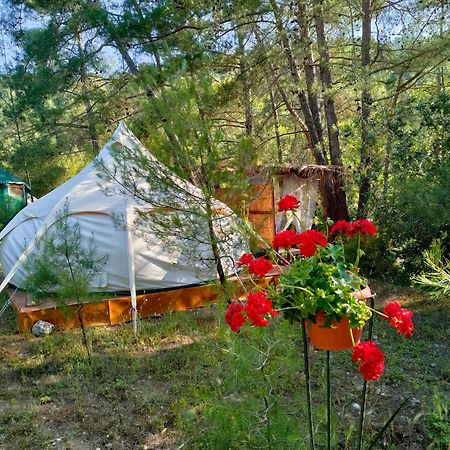 Vinsan Glamping & Wellness Centre Hotel Eleúsza Kültér fotó
