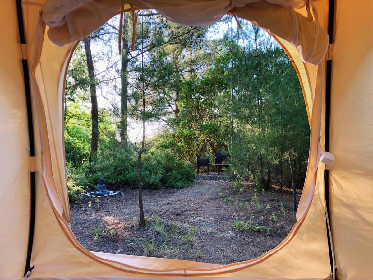 Vinsan Glamping & Wellness Centre Hotel Eleúsza Kültér fotó
