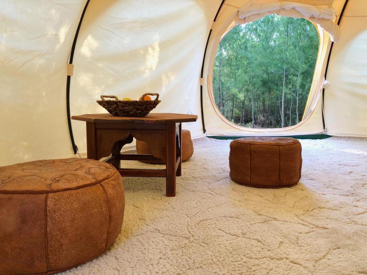 Vinsan Glamping & Wellness Centre Hotel Eleúsza Kültér fotó